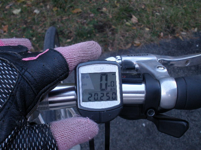Average Calories Burned Biking 20 Miles