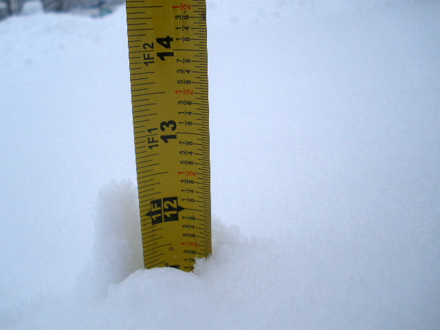 11 inches