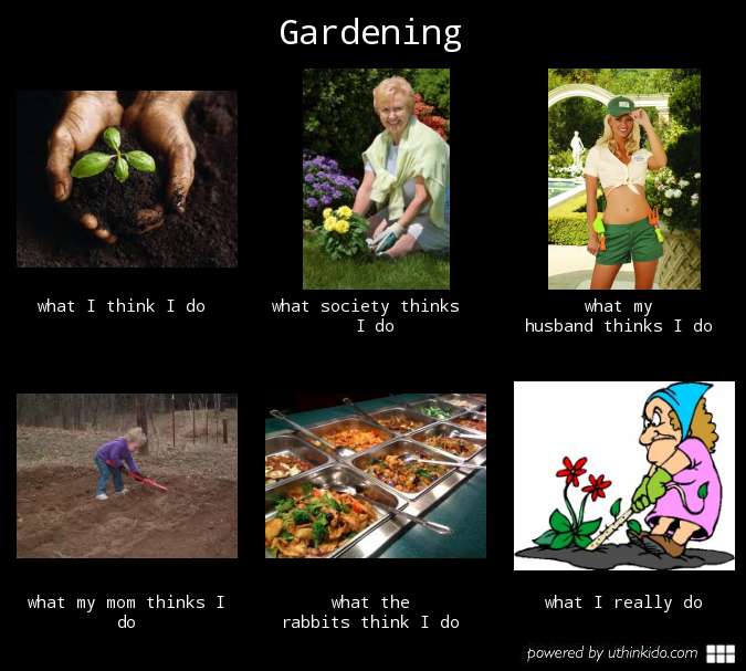 gardenmeme